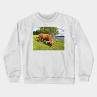 Scottish Highland Cattle Bull 1787 Crewneck Sweatshirt